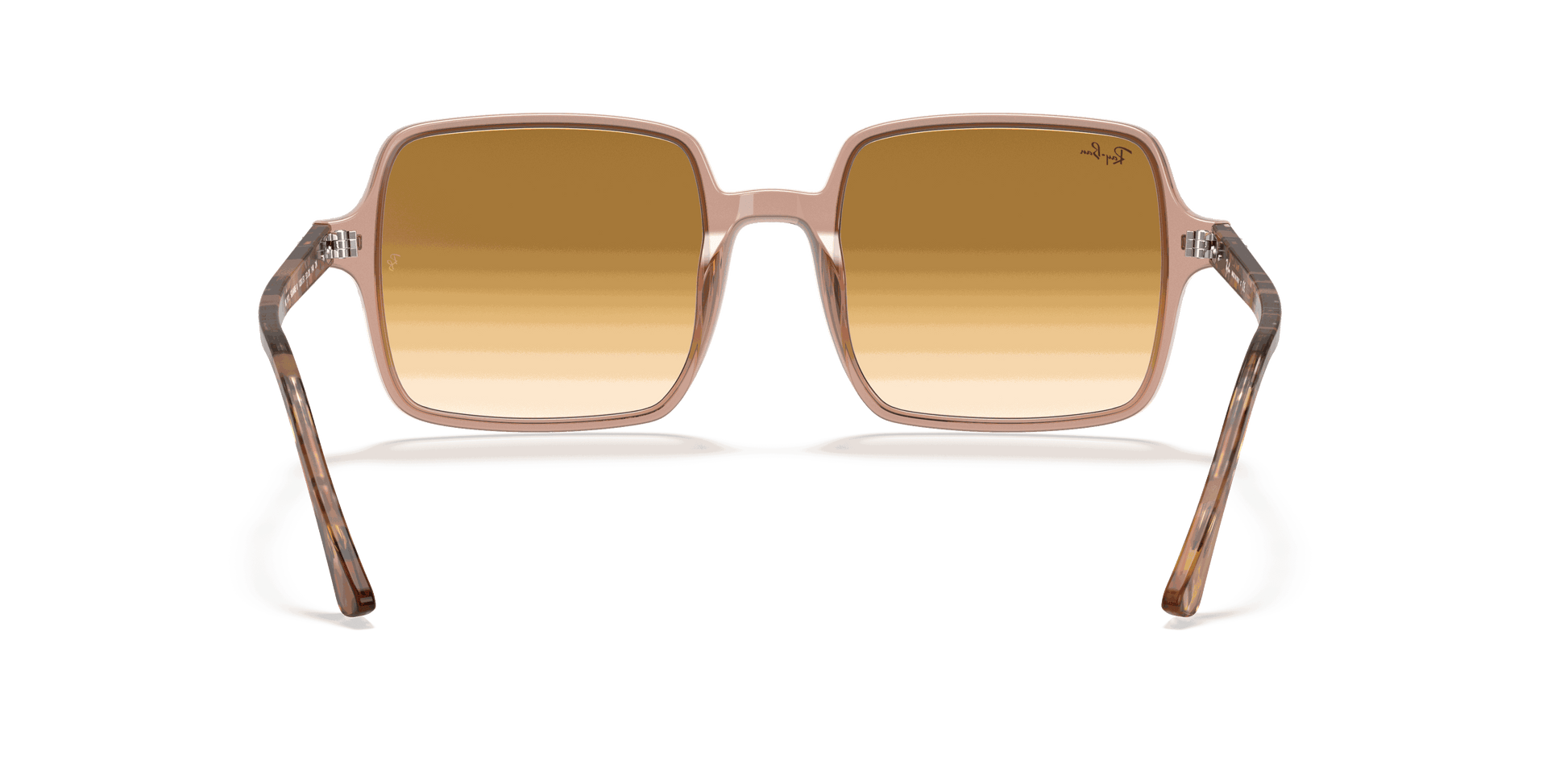 [Light Brown Gradient Lenses, Polished Transparent Brown Frame]
