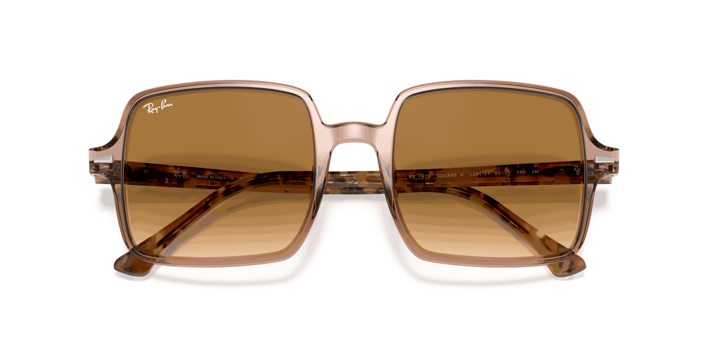 [Light Brown Gradient Lenses, Polished Transparent Brown Frame]