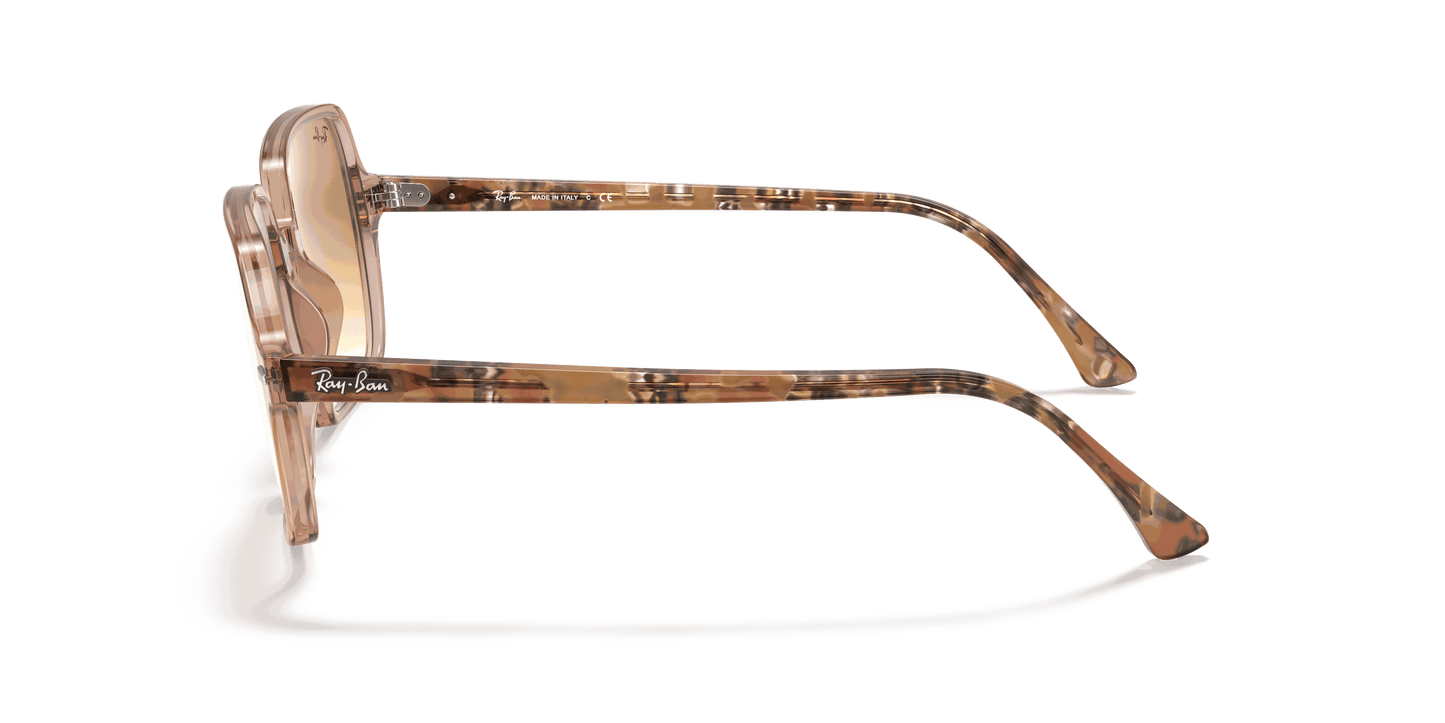 [Light Brown Gradient Lenses, Polished Transparent Brown Frame]