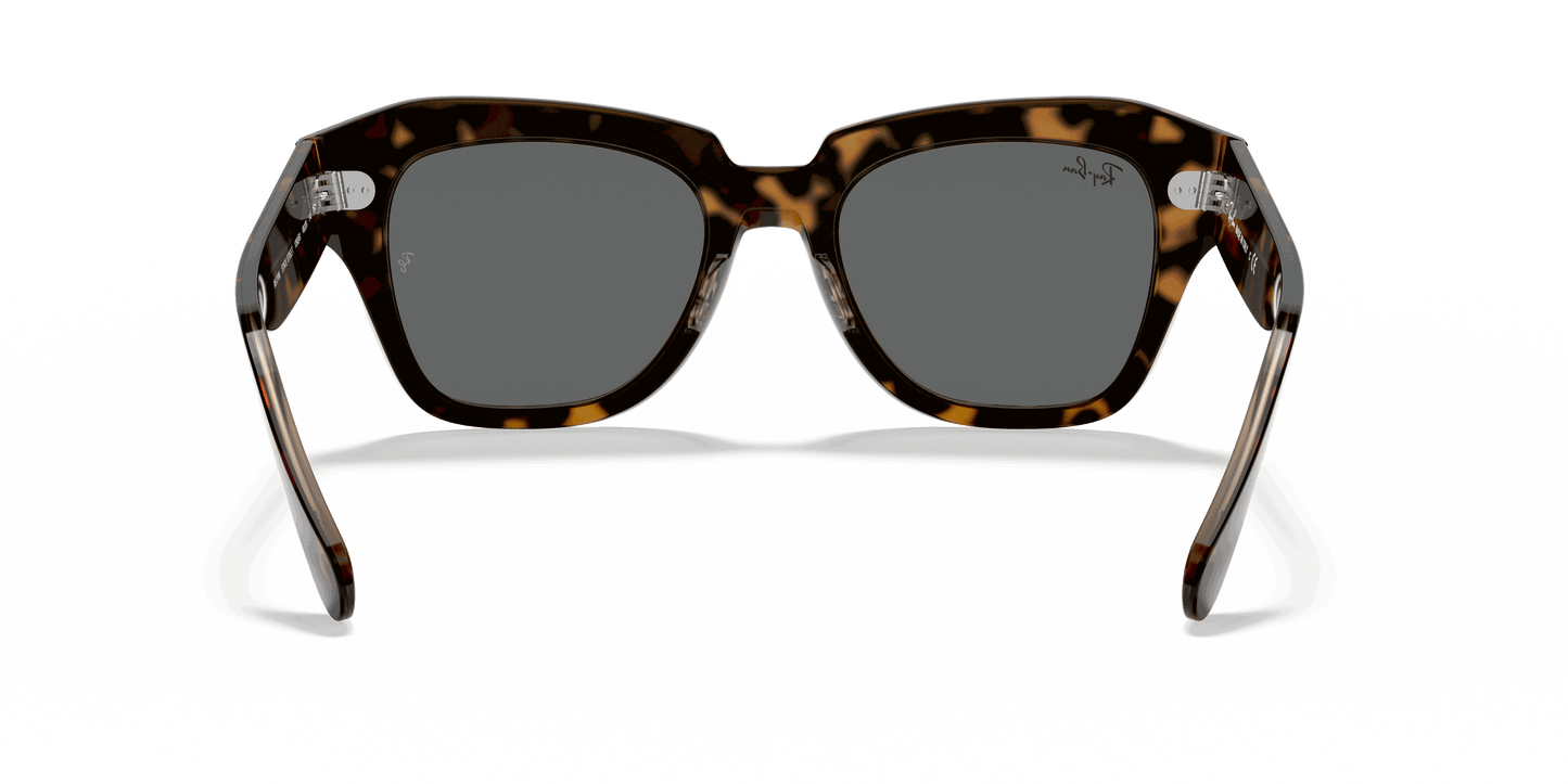 [Dark Grey Lenses, Polished Havana On Transparent Brown Frame]