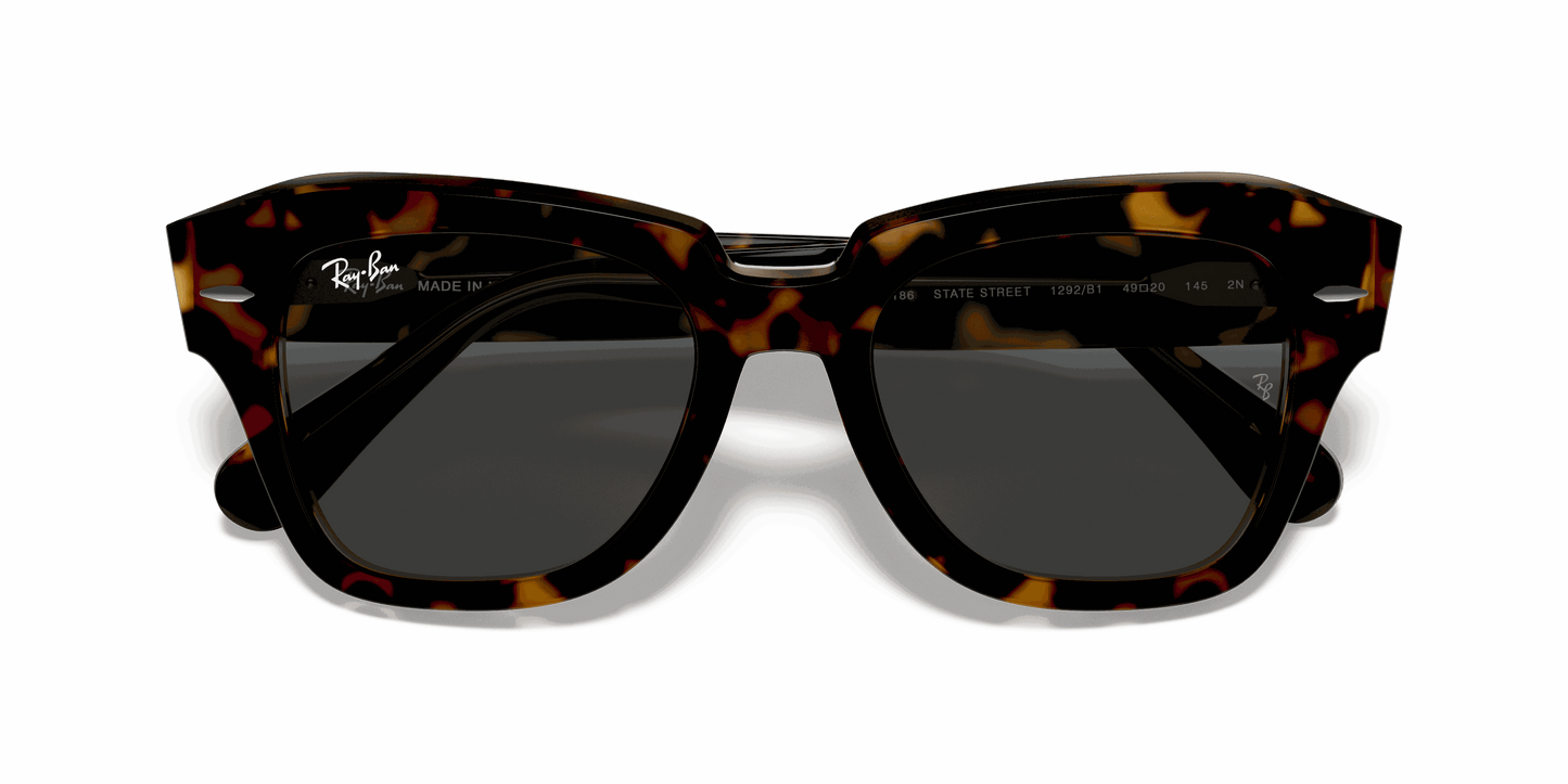 [Dark Grey Lenses, Polished Havana On Transparent Brown Frame]