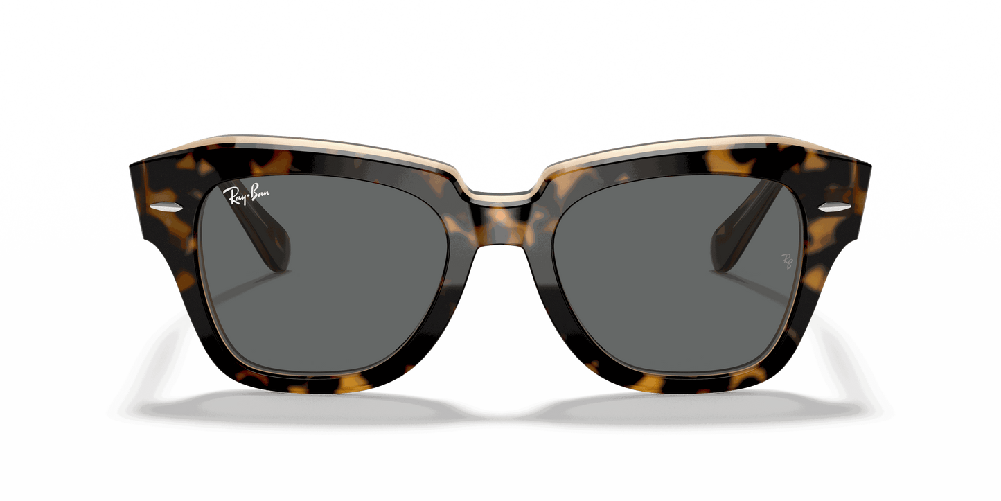 [Dark Grey Lenses, Polished Havana On Transparent Brown Frame]