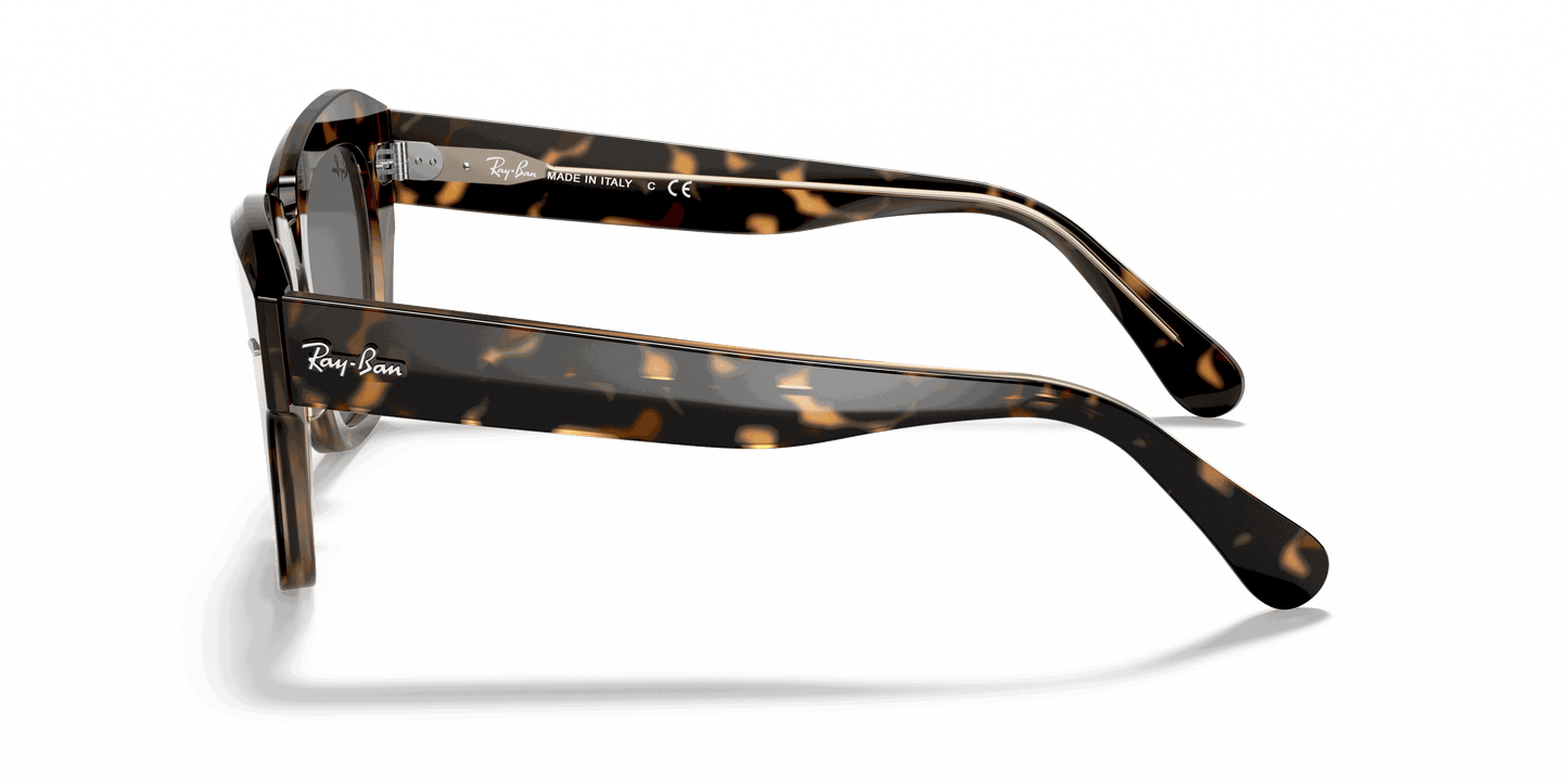 [Dark Grey Lenses, Polished Havana On Transparent Brown Frame]
