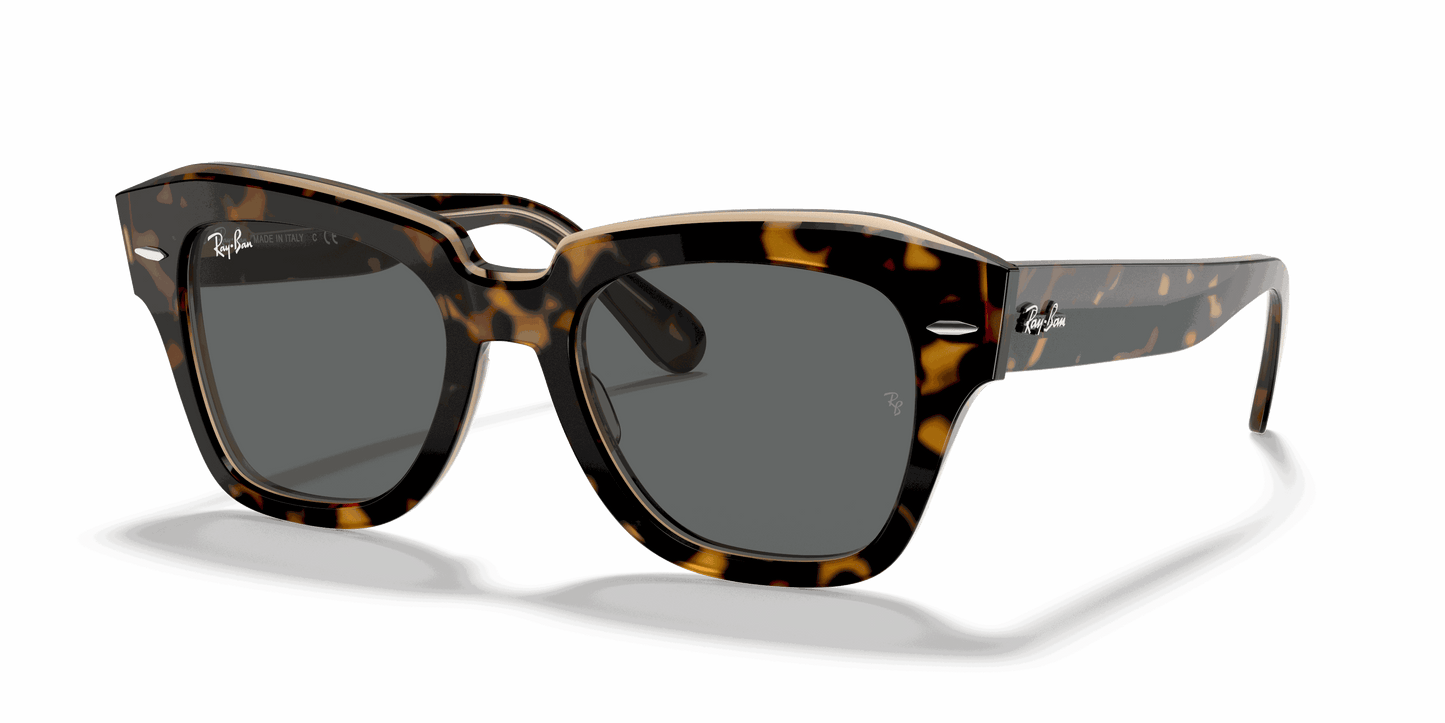 [Dark Grey Lenses, Polished Havana On Transparent Brown Frame]