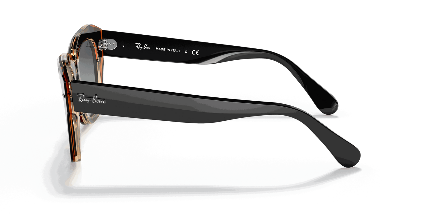 [Grey/Blue Gradient Lenses, Polished Black On Brown Frame]