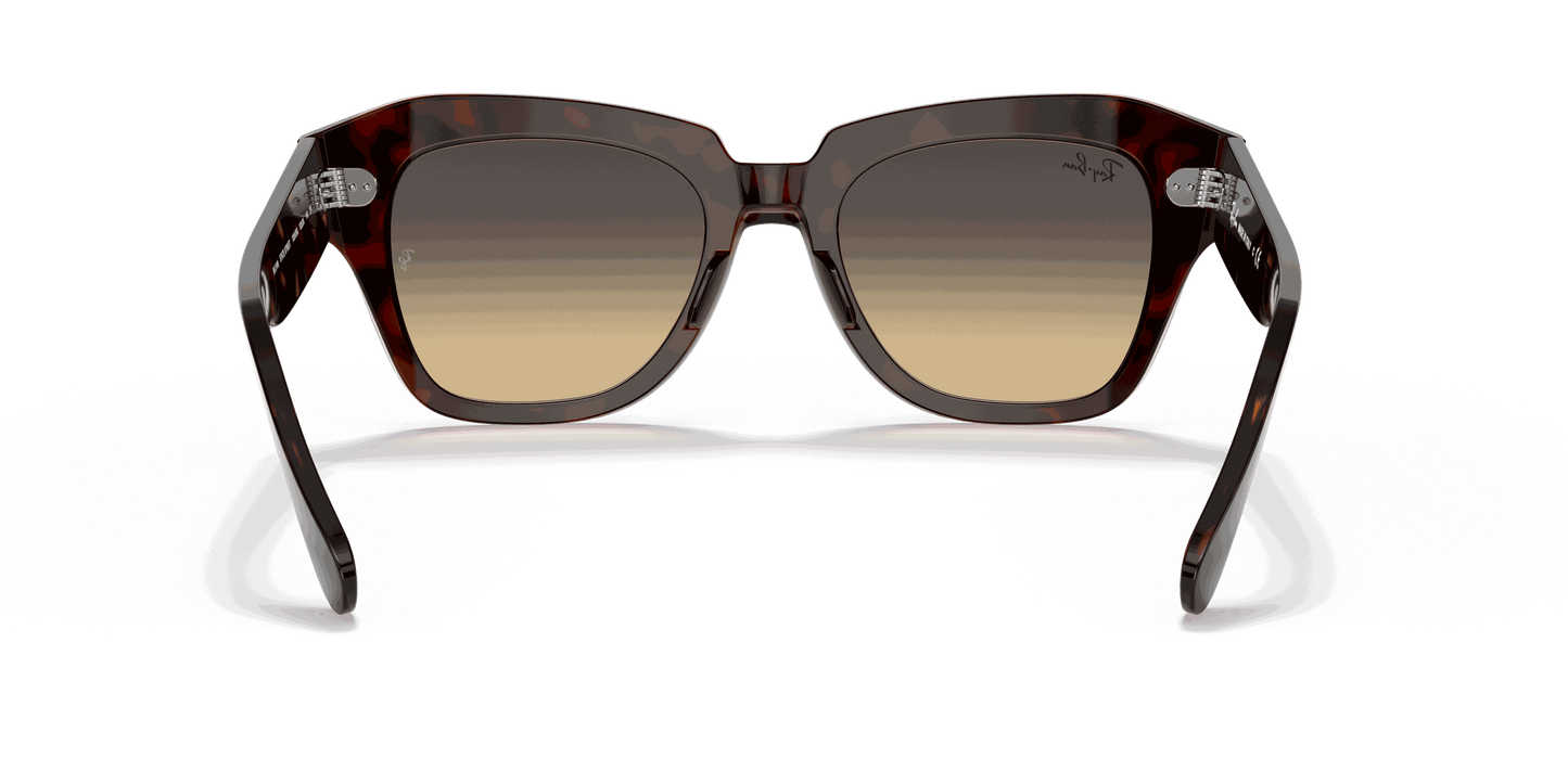 [Brown/Blue Gradient Lenses, Polished Havana On Transparent Pink Frame]