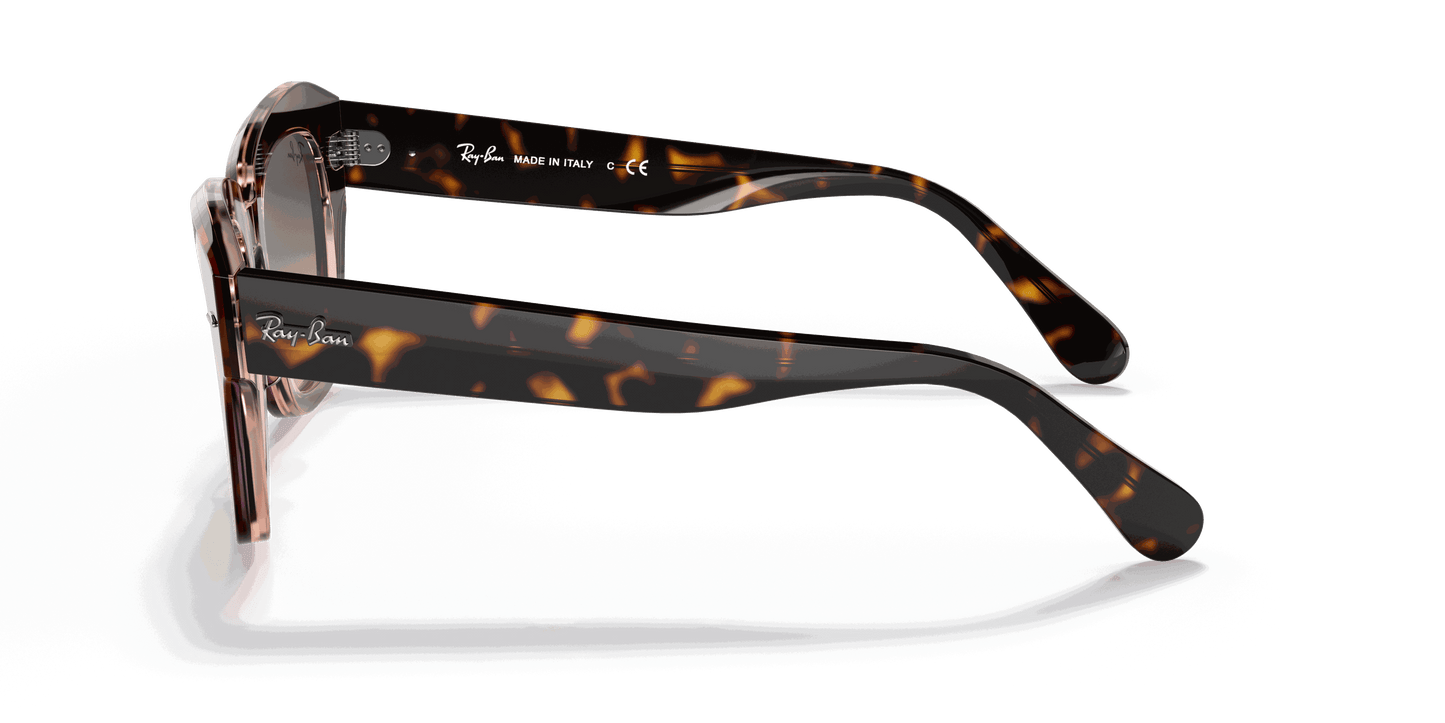 [Brown/Blue Gradient Lenses, Polished Havana On Transparent Pink Frame]