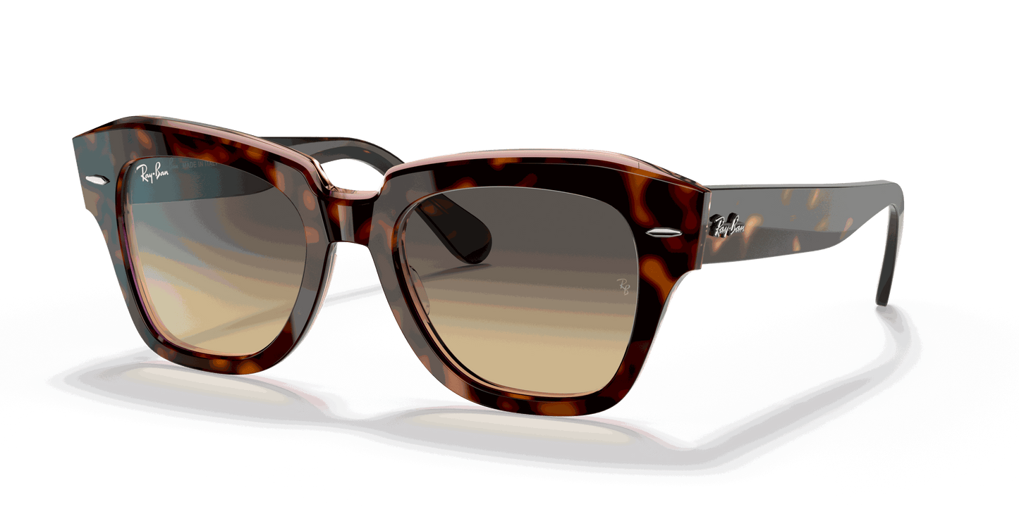 [Brown/Blue Gradient Lenses, Polished Havana On Transparent Pink Frame]