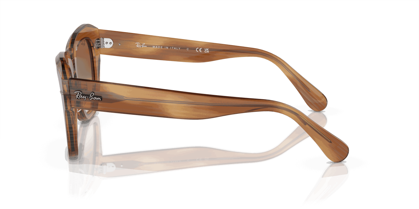 [Clear & Brown Lenses, Polished Striped Brown Frame]