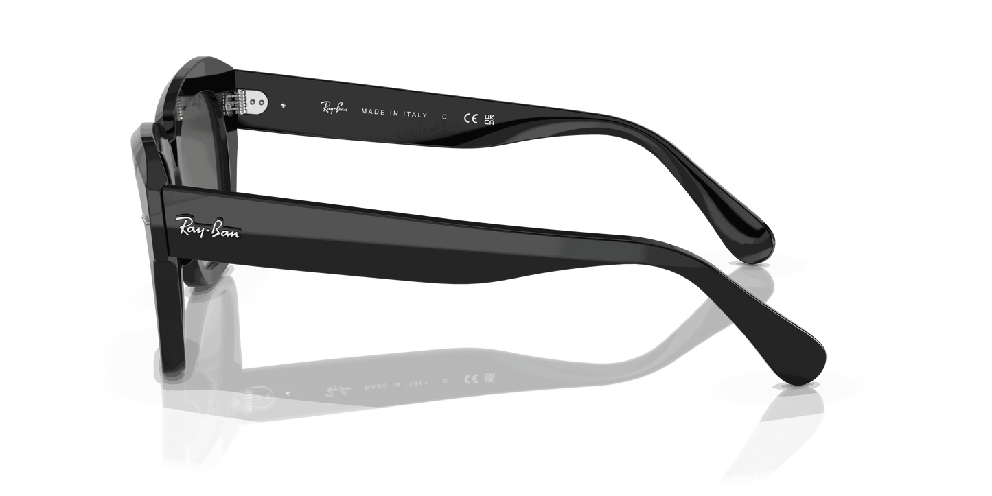 [Grey Lenses, Polished Black Frame]