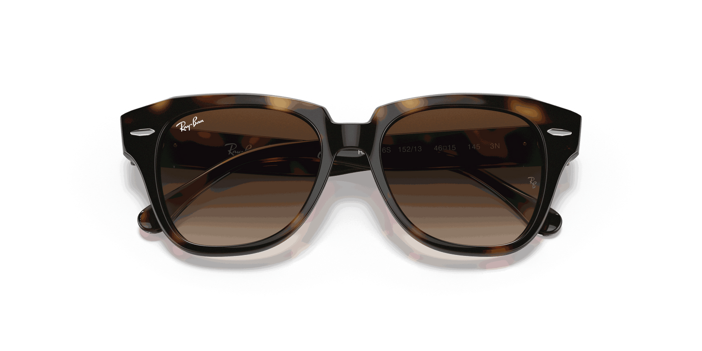 [Dark Brown Gradient Lenses, Polished Havana Frame]