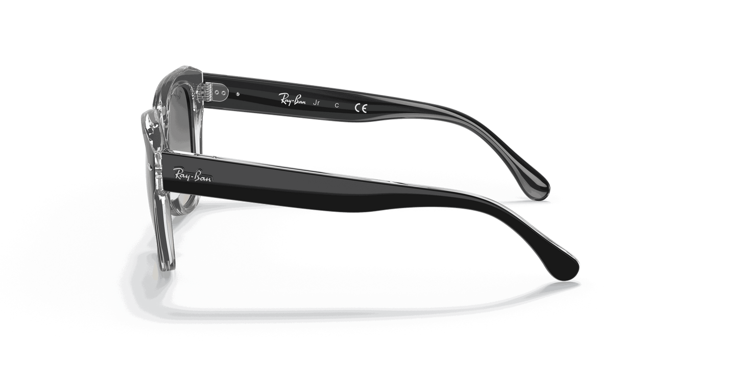 [Grey Gradient Lenses, Polished Black On Transparent Frame]