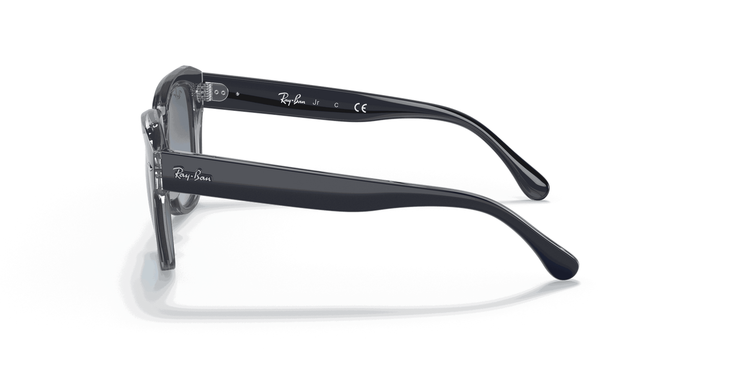 [Blue/Grey Lenses, Polished Blue On Transparent Grey Frame]