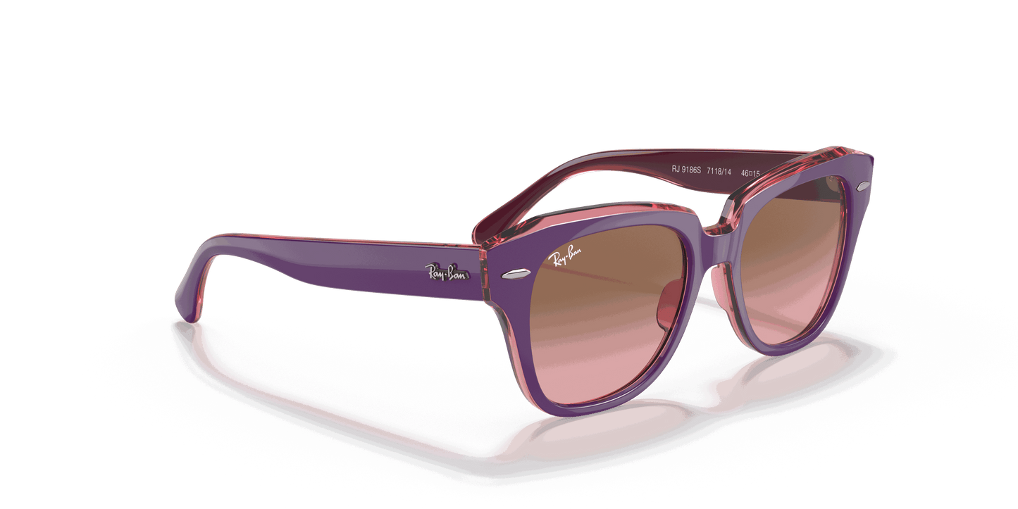 [Pink Gradient Brown Lenses, Polished Violet On Transparent Pink Frame]