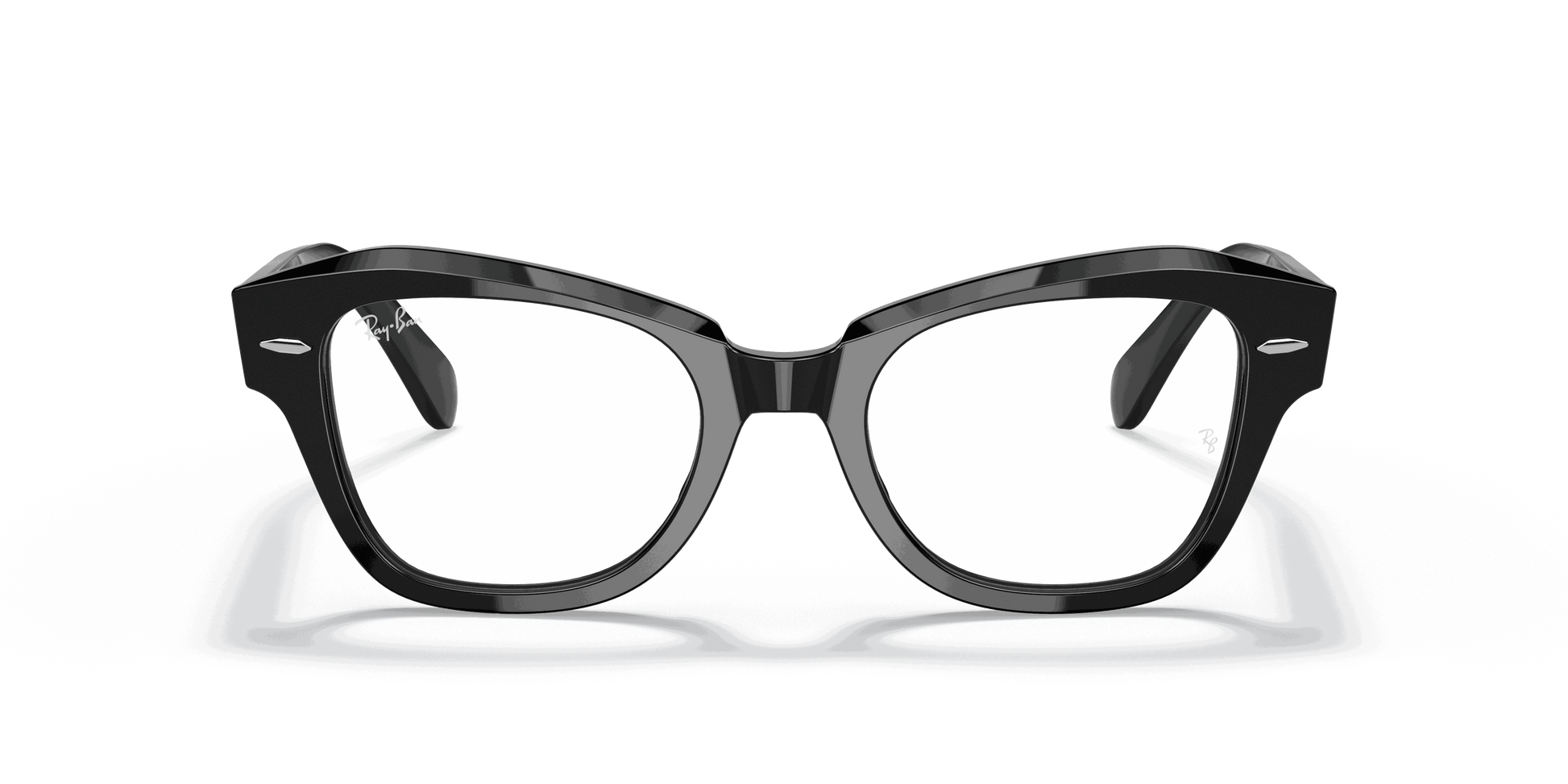 [Clear Lenses, Polished Black Frame]