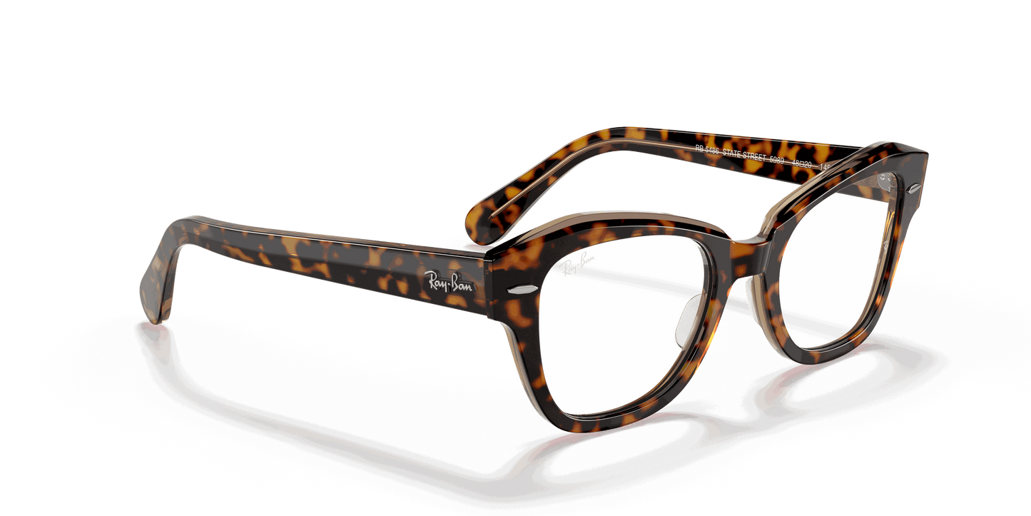 [Clear Lenses, Polished Havana On Transparent Brown Frame]
