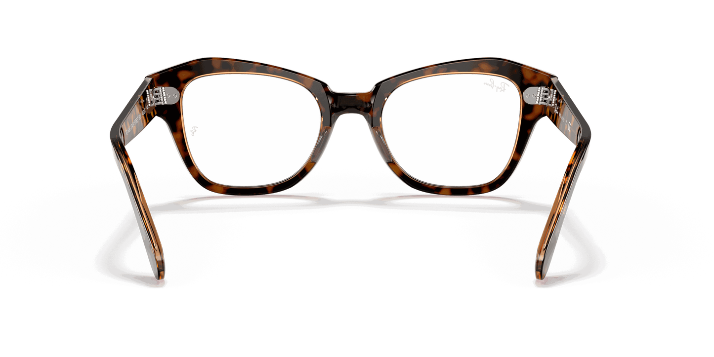 [Clear Lenses, Polished Havana On Transparent Brown Frame]