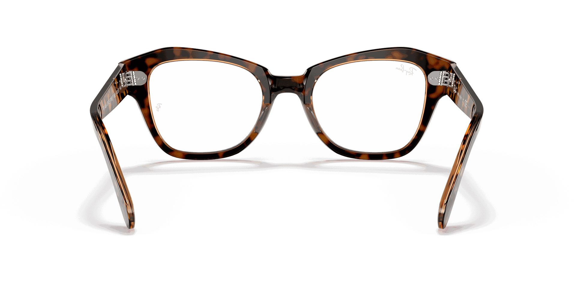 [Clear Lenses, Polished Havana On Transparent Brown Frame]