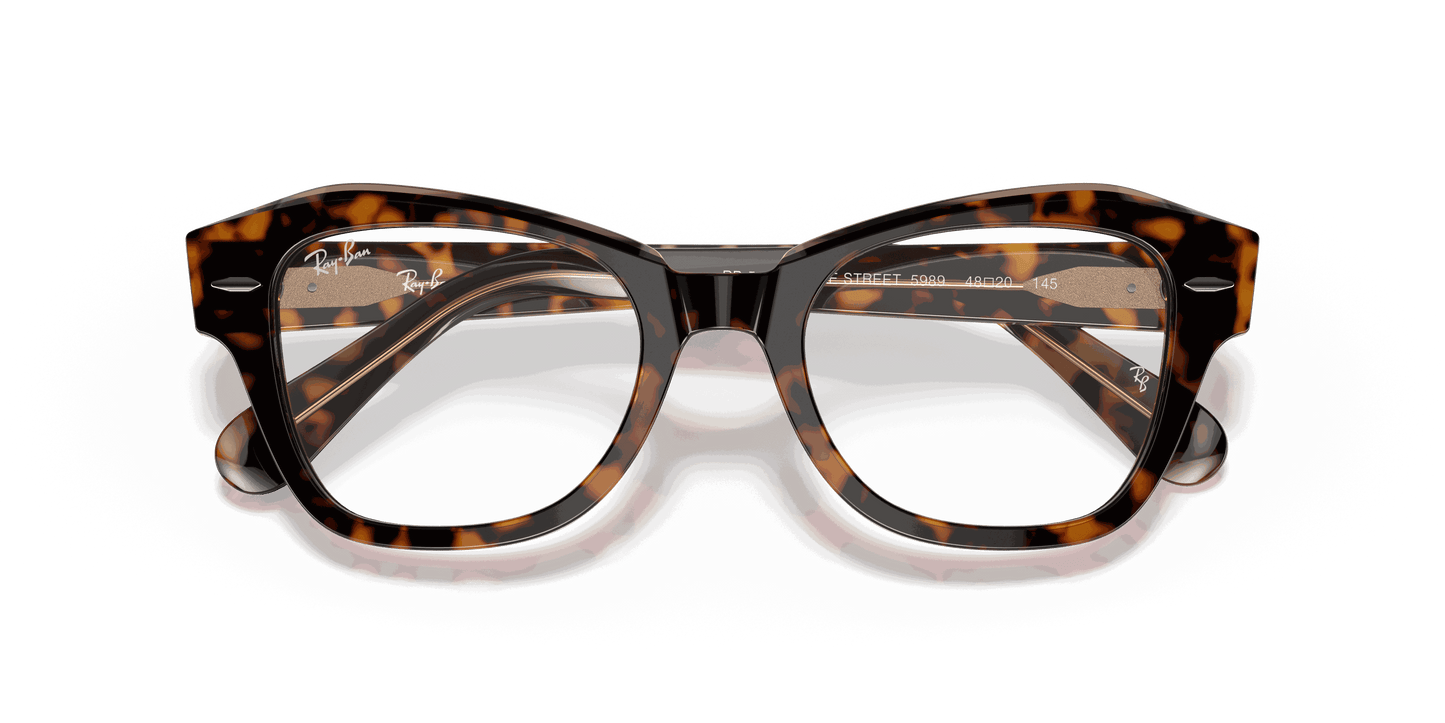 [Clear Lenses, Polished Havana On Transparent Brown Frame]