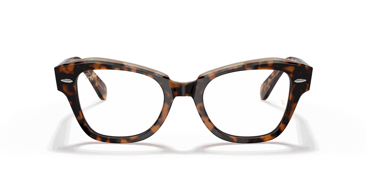 [Clear Lenses, Polished Havana On Transparent Brown Frame]