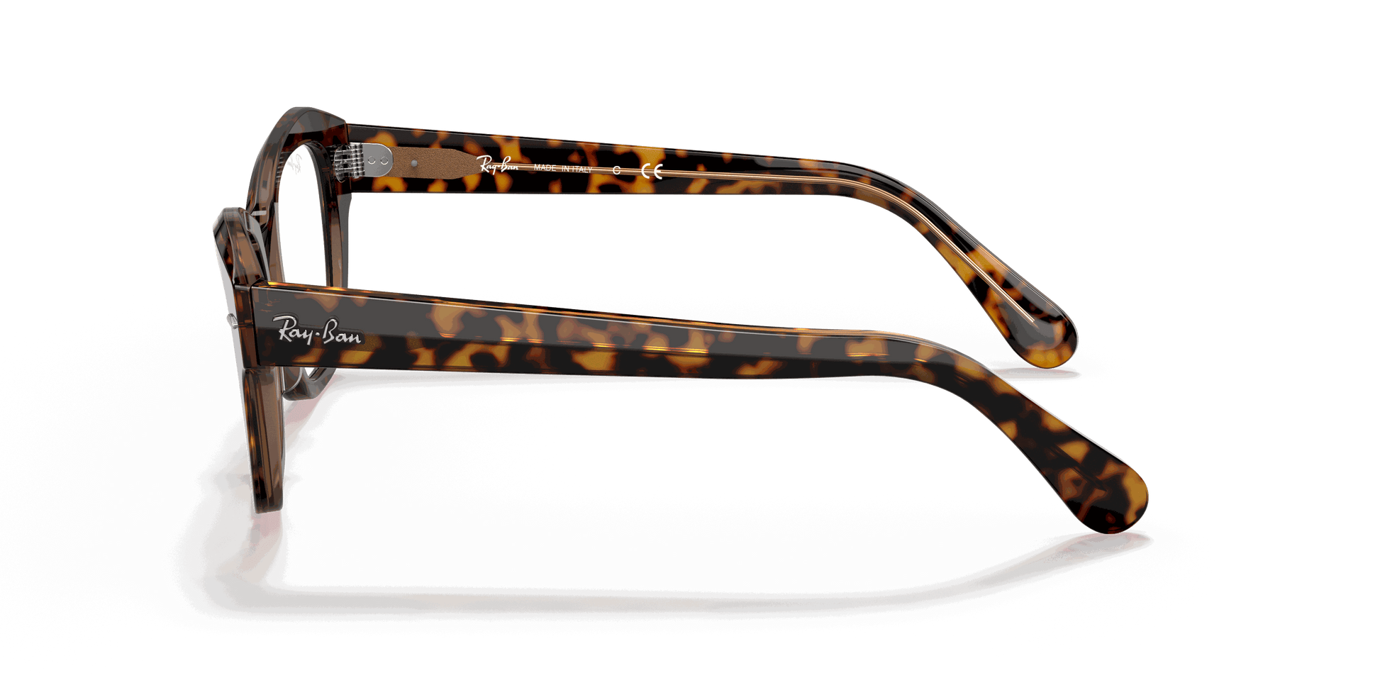 [Clear Lenses, Polished Havana On Transparent Brown Frame]