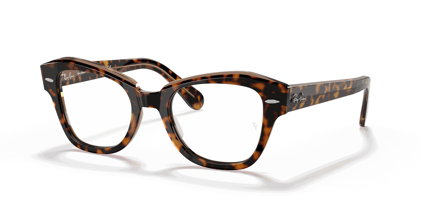 [Clear Lenses, Polished Havana On Transparent Brown Frame]