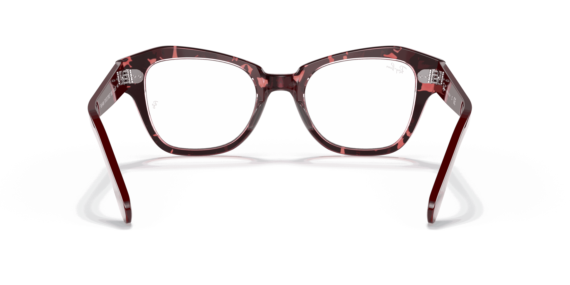 [Clear Lenses, Polished Havana On Transparent Purple Frame]