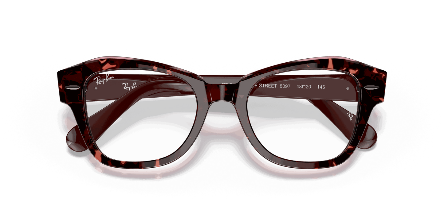 [Clear Lenses, Polished Havana On Transparent Purple Frame]