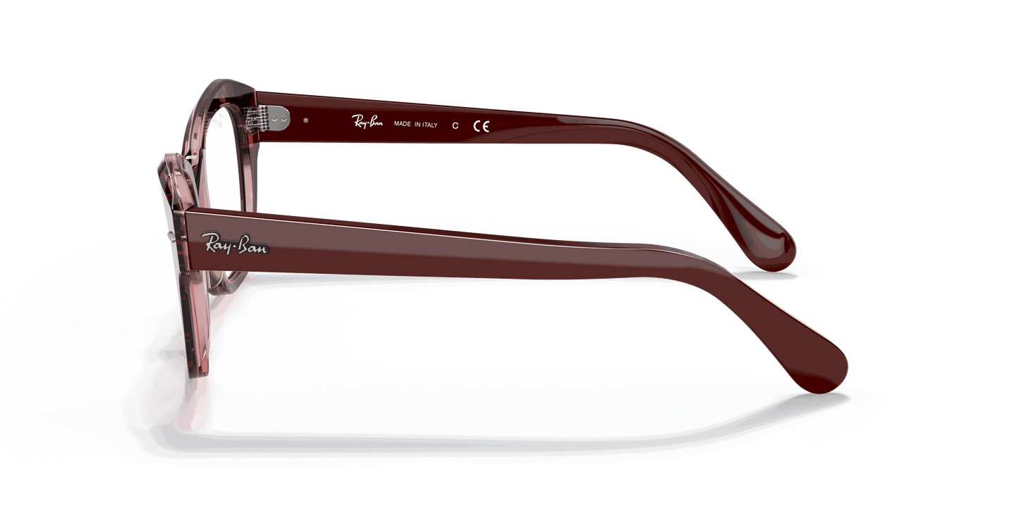 [Clear Lenses, Polished Havana On Transparent Purple Frame]