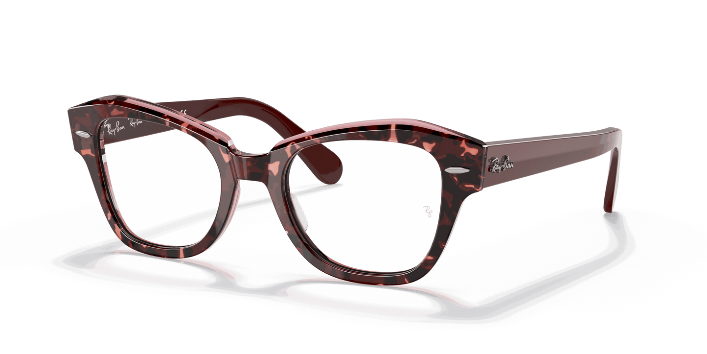 [Clear Lenses, Polished Havana On Transparent Purple Frame]