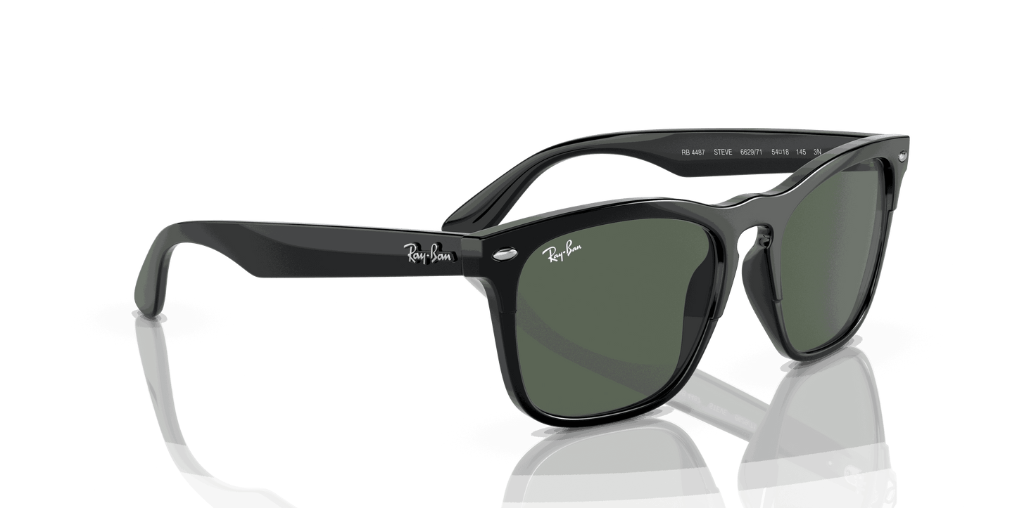 [Dark Green Lenses, Polished Black Frame]