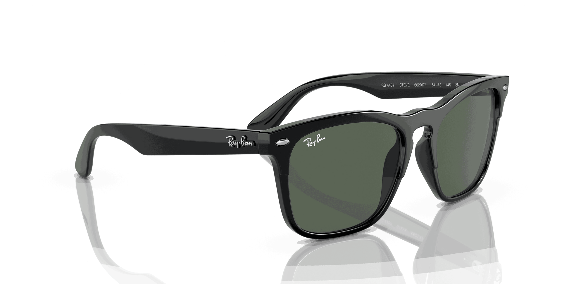 [Dark Green Lenses, Polished Black Frame]