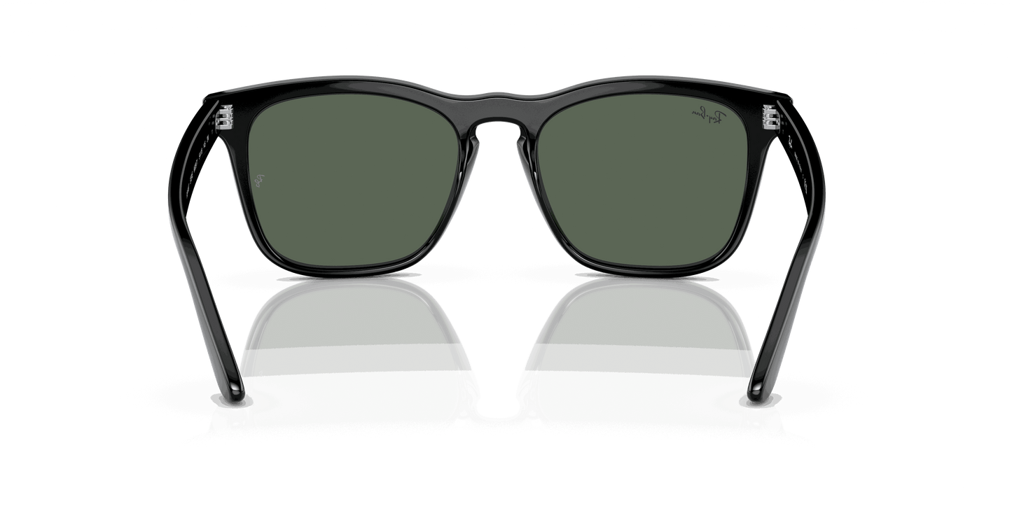 [Dark Green Lenses, Polished Black Frame]