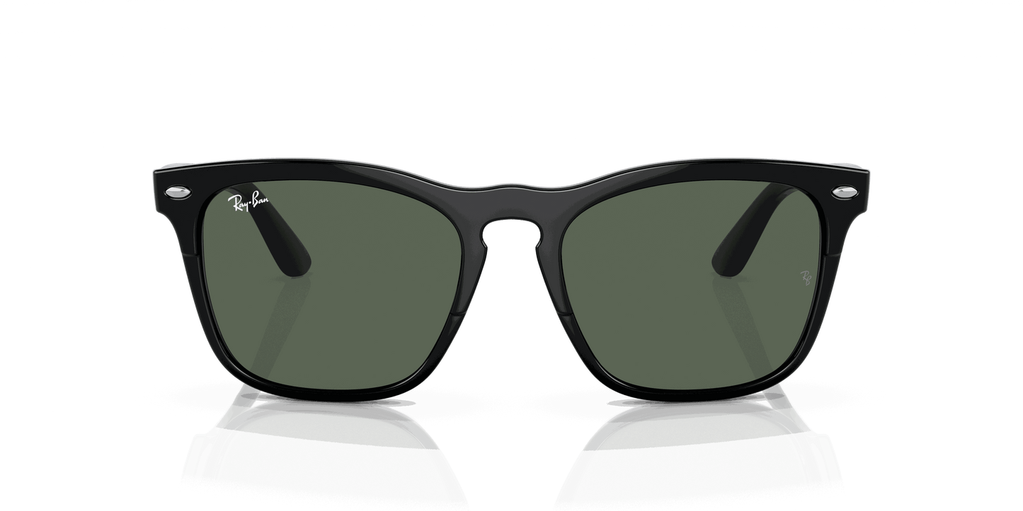 [Dark Green Lenses, Polished Black Frame]