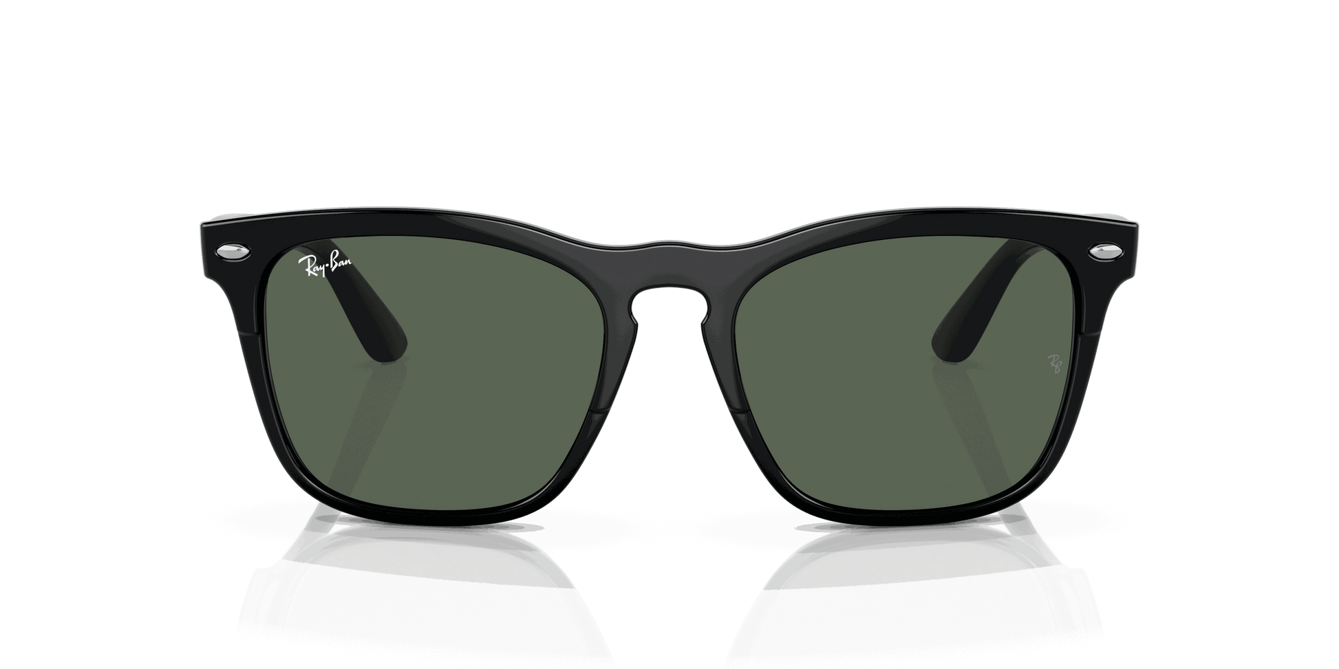 [Dark Green Lenses, Polished Black Frame]