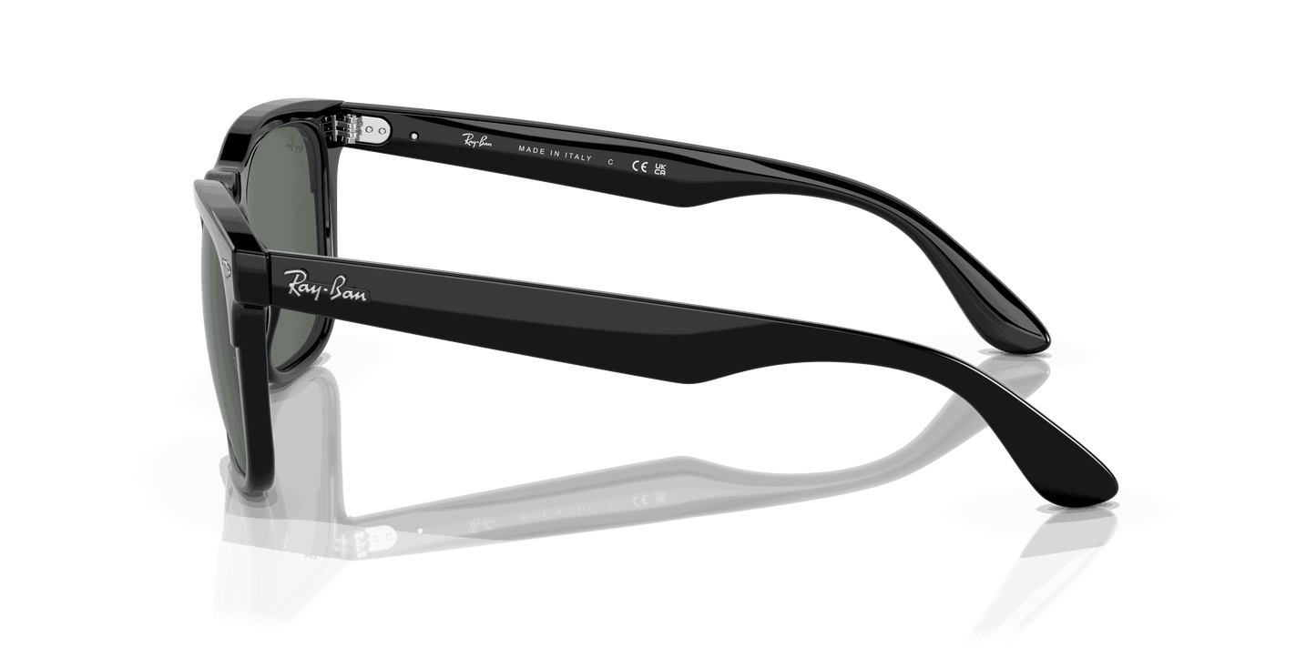 [Dark Green Lenses, Polished Black Frame]
