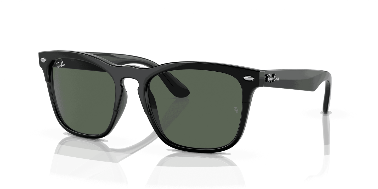 [Dark Green Lenses, Polished Black Frame]
