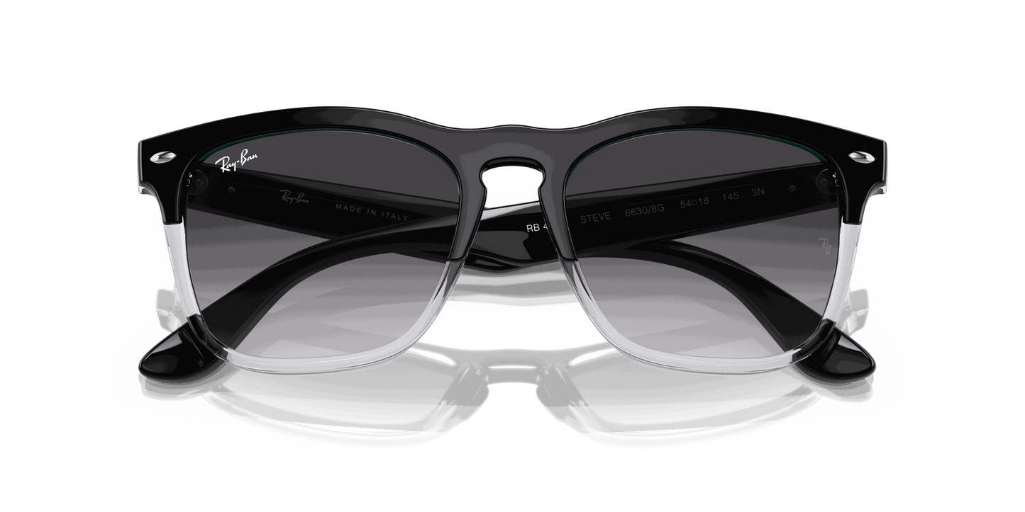 [Grey Lenses, Polished Black On Transparent Frame]