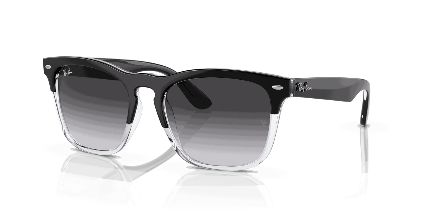 [Grey Lenses, Polished Black On Transparent Frame]