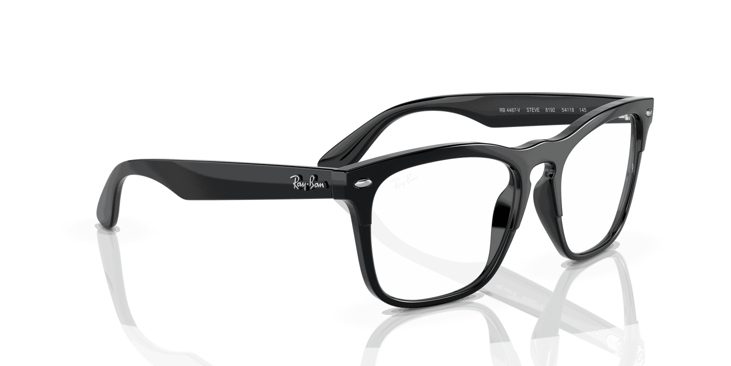 [Clear Lenses, Polished Black Frame]