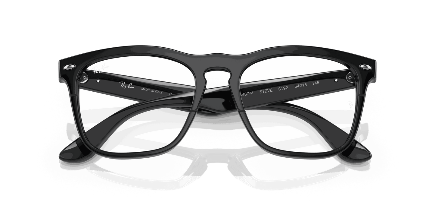 [Clear Lenses, Polished Black Frame]