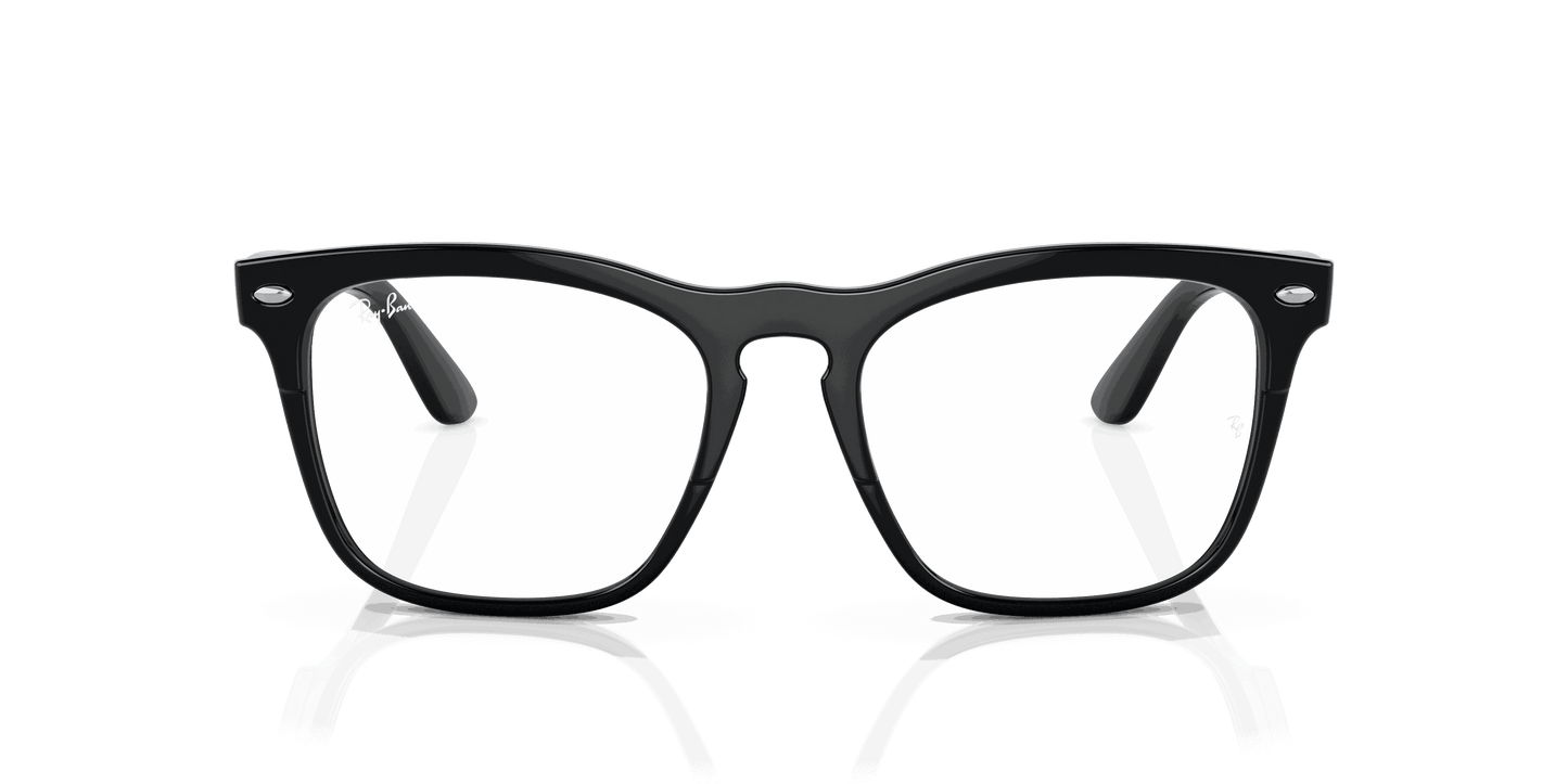 [Clear Lenses, Polished Black Frame]