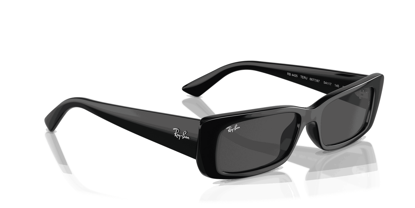 [Dark Grey Lenses, Polished Black Frame]