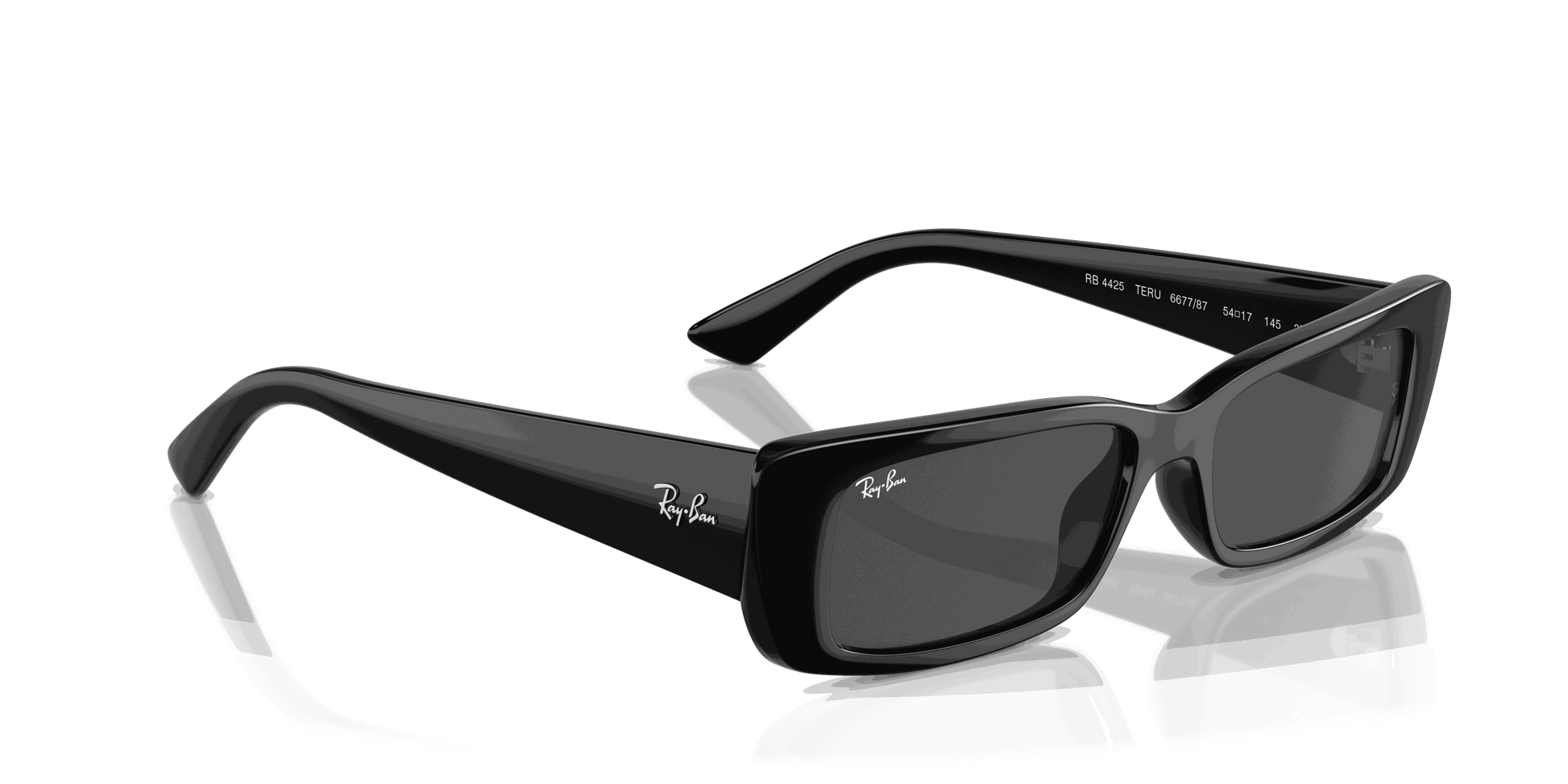 [Dark Grey Lenses, Polished Black Frame]