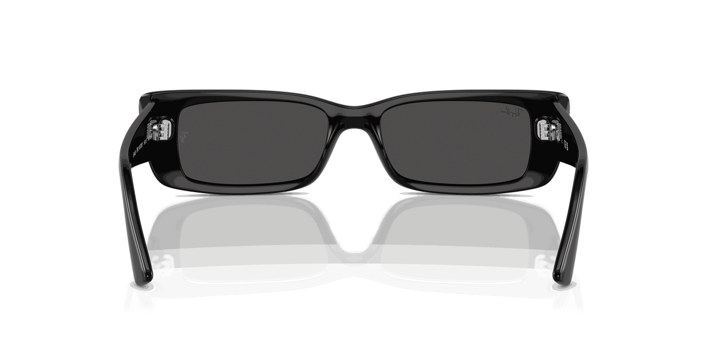 [Dark Grey Lenses, Polished Black Frame]