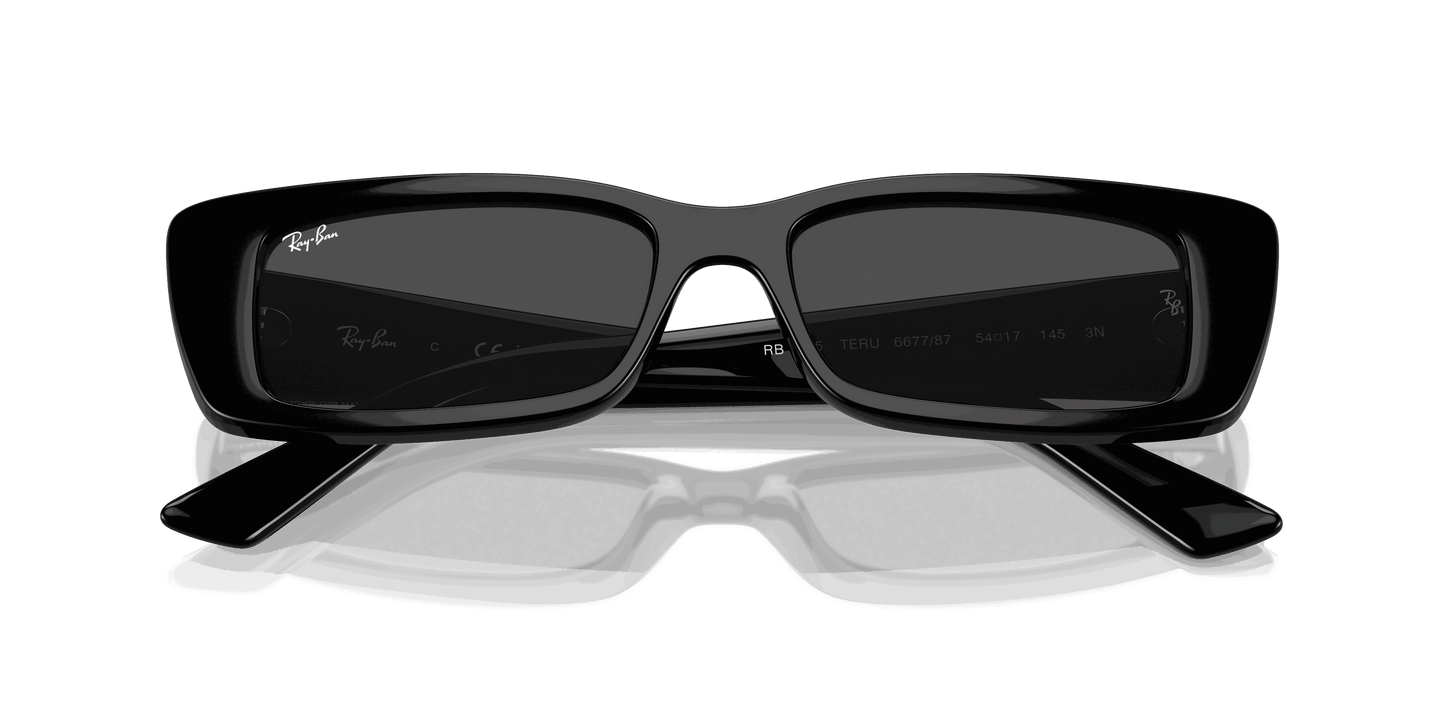 [Dark Grey Lenses, Polished Black Frame]