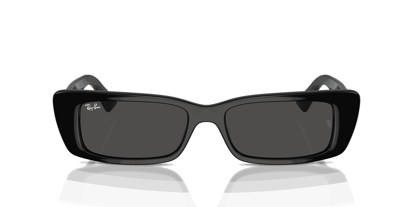 [Dark Grey Lenses, Polished Black Frame]