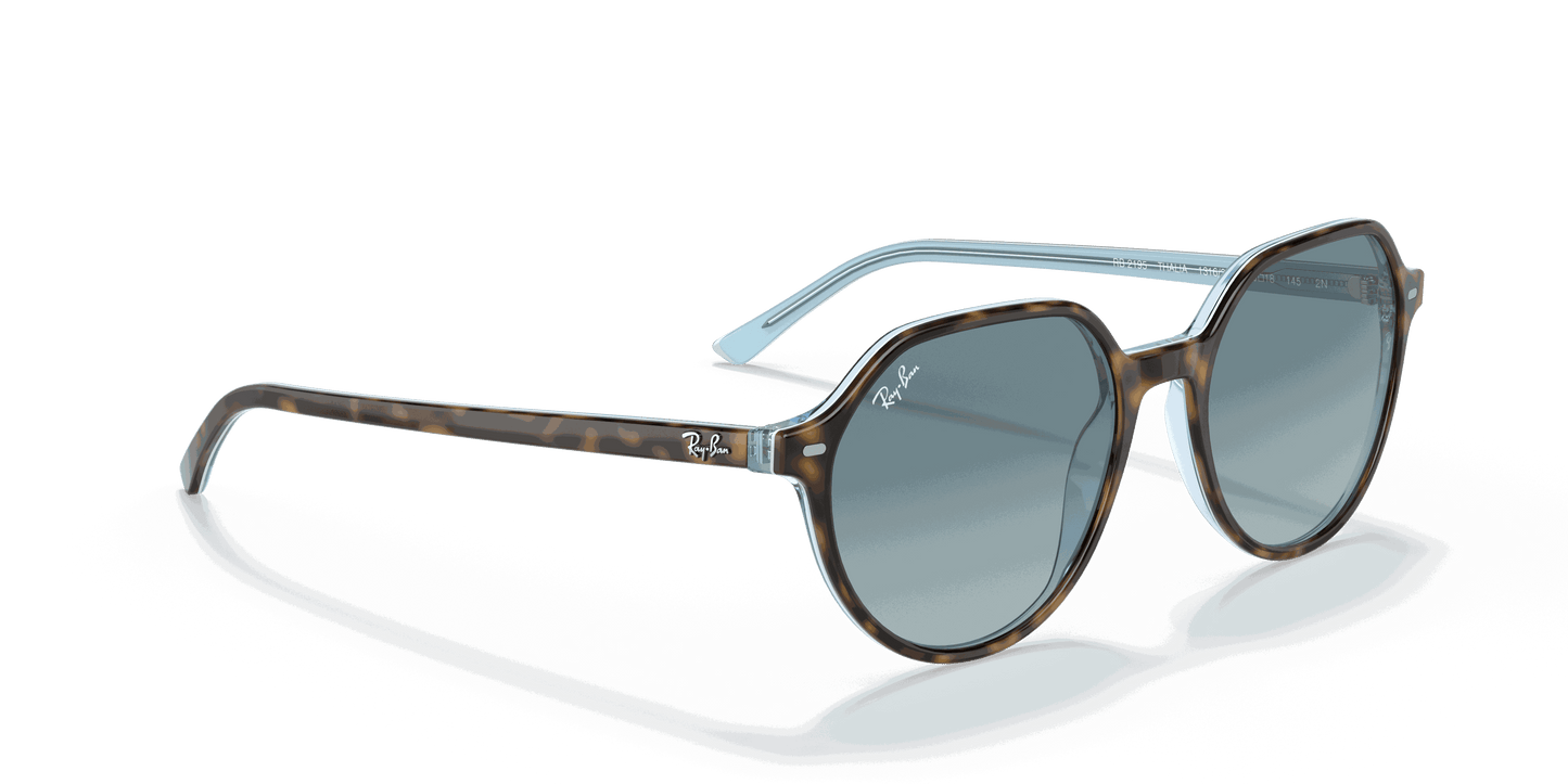 [Blue Gradient Grey Lenses, Polished Havana On Light Blue Frame]
