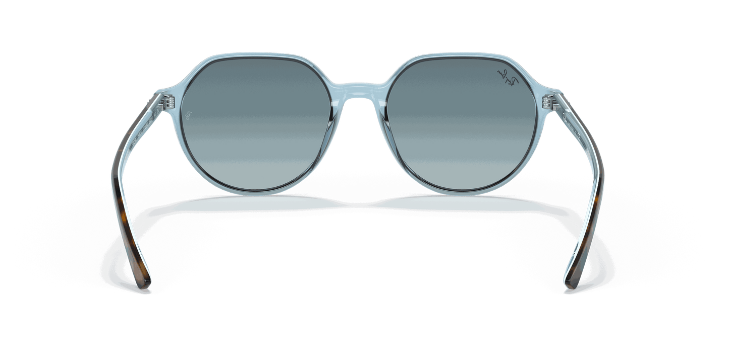 [Blue Gradient Grey Lenses, Polished Havana On Light Blue Frame]