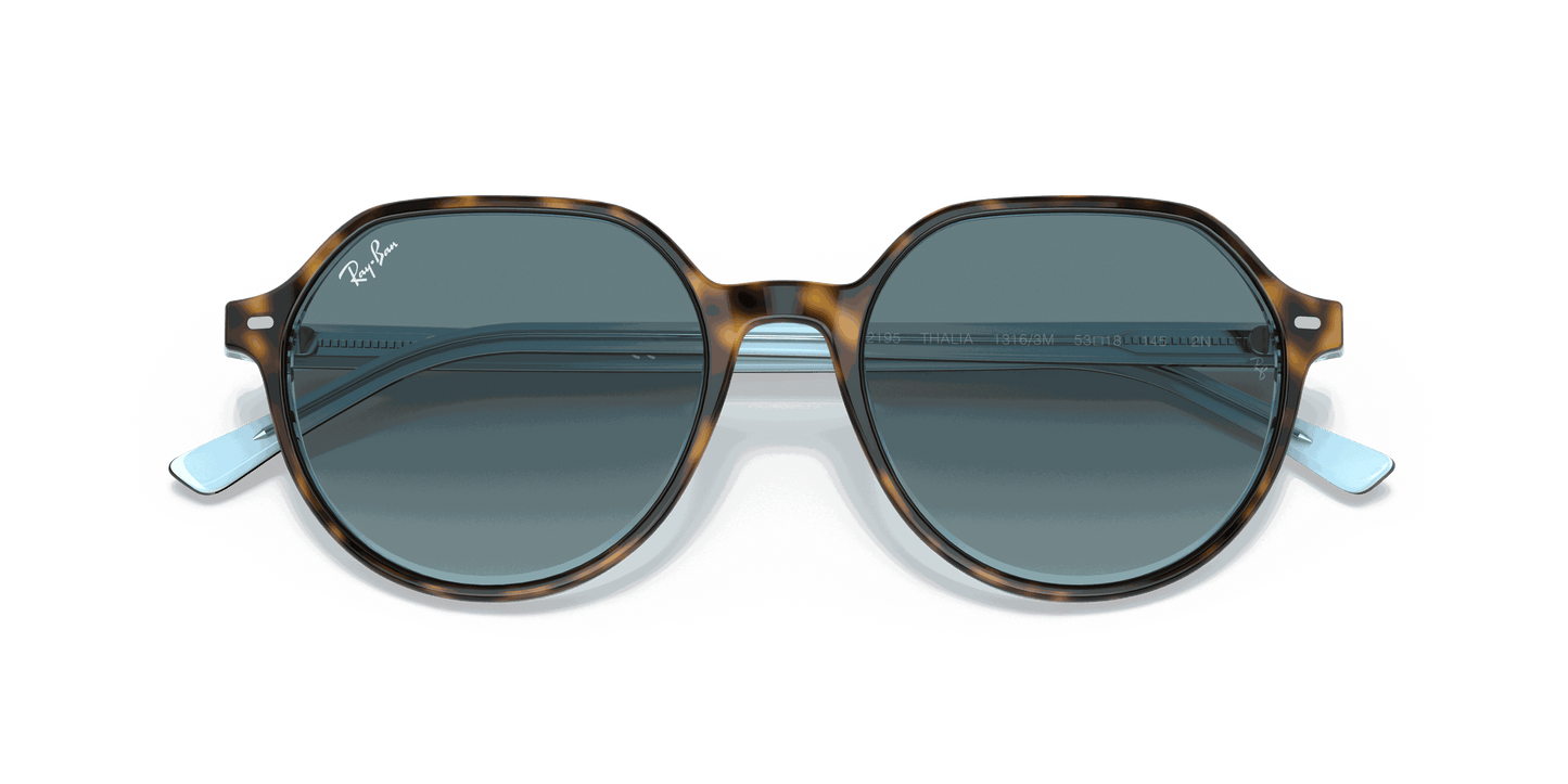 [Blue Gradient Grey Lenses, Polished Havana On Light Blue Frame]